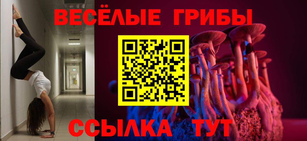 Галлюциногенные грибы мухоморы Тула