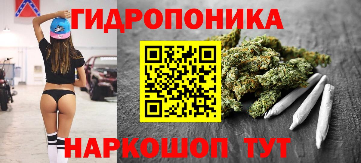 Шишки марихуана конопля Тула